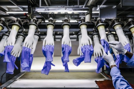 Disposable Gloves Factory