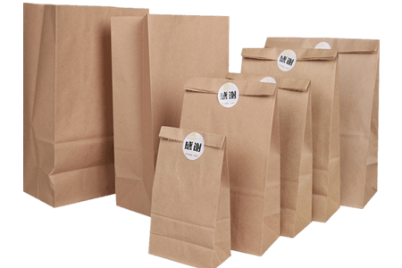 Kraft Paper Bags