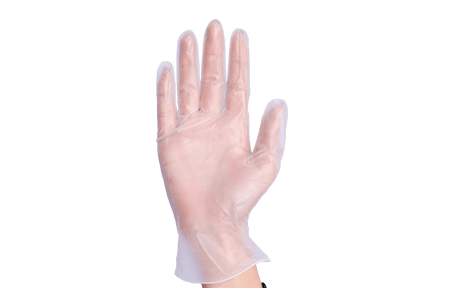 Clear Powder Free Vinyl Gloves