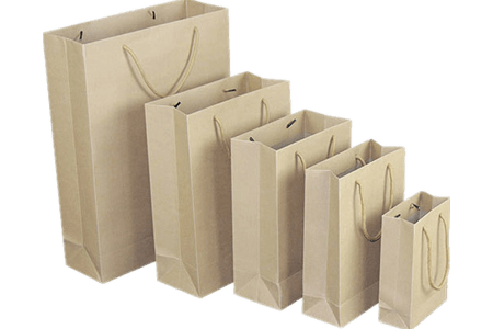 Kraft Paper Gift Bags