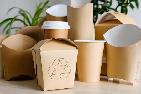 Disposable Paper Food Packaging
